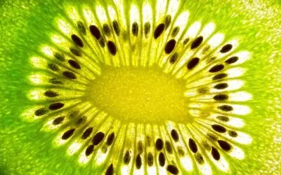 La vitamine C de A à Z