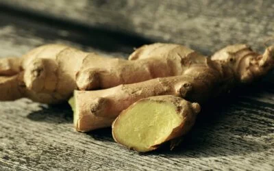 Le gingembre, l’épice phare des troubles digestifs